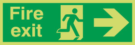Znak wyjścia, PET, Zielony/biały, Fire Exit, Angielski, Opis: Gaśnica