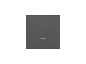 SIMON 55 Klawisz pojedynczy z piktogramem „klucz” do łączników/przycisków grafitowy mat TKWK1/116 KONTAKT SIMON