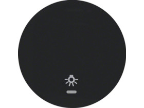 BERKER R.1/R.3 Klawisz z soczewką nadrukiem symbolu "światło" do wyłącznika klawiszowego pojedyncze czarny 16212035 HAGER