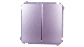 Simon Basic Przycisk Podwójny Zwierny, Szybkozłącza, Stal Inox Bmp2.01/21