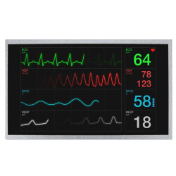 Wyświetlacz LCD TFT 10.1cal IPS TFT WSVGA 1024 x 600pikseli LVDS I/F Nie NEWHAVEN DISPLAY INTERNATIONAL