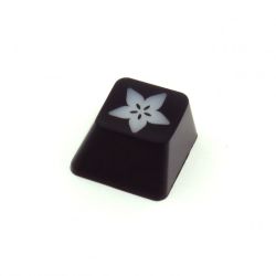 Adafruit Etched R4 Keycap - nasadka na przełącznik do klawiatury mechanicznej