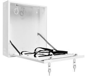 AWO529W small - obudowa na rejestrator