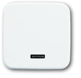 Busch-Jaeger 6543-214-102 2CKA006599A2816 Moduł wejściowy brak biały, czysty biały (ral 9010) 1 szt.