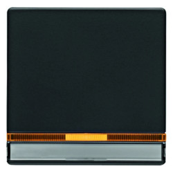 Klawisz z 2 dołączonymi soczewkami i polem opisowym Q.1/Q.3 antracyt aksamit 16286086