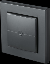 159881A0 Wall pushbutton 2-fold, anthracite