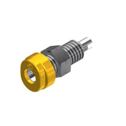 BUG 10 YE (930175103)