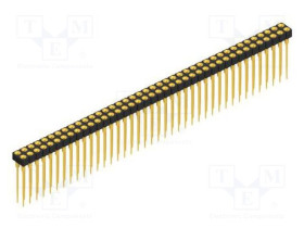 MK.213.X.2.80.G