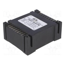 TSPZ18/2X24V