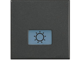 AXOLUTE Klawisz ŚWIATŁO antracyt HS4921/2LA LEGRAND