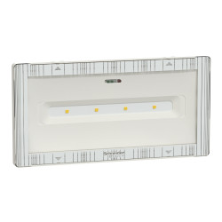 Złączka do oświetlenia awaryjnego Schneider Electric 5,4 W szerokość 240 mm Ściana IP42