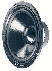 HiFi Woofer 250mm 100W 8Ohn