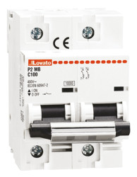 Wyłącznik nadprądowy MCB, Typ C, 2-biegunowy, 80A, 230V, 60V, na szynę DIN, Lovato, P2MB