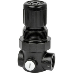 Norgren R91W-2GK-NLN Miniature Regulator G1/4 0.3 to 8.6 Bar