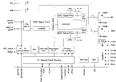 Ultra Low Power Stereo Audio Codec with miniDSP and Stereo Digital Microphone Input | RGE | 24 | -40 to 85
