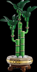 10344 LEGO® Botanicals – Lucky Bamboo