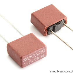 39211250000 Fuse Slow Blow Acting 1.25A 250V RADIAL WICKMANN