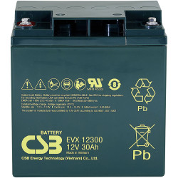 CSB EVX12300 Battery 12V 30Ah AGM 166x175x125mm M5 Long Life Maintenance-Free
