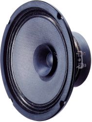 Visaton BG 20 - 8 Ohm 8 cal 20.32 cm Głośnik szeroko pasmowy 40 W 8 Ω