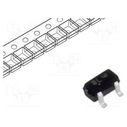 55DTC124XET1G
