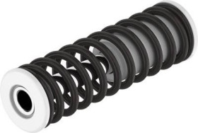 Prowadnica sprężynowa FESTO DADG-FP-F9-300-R3-P100 8103230, 1 szt.