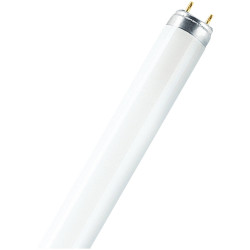 OSRAM 4050300517896 LUMILUX&#xAE; T8 36 W/830 Tube