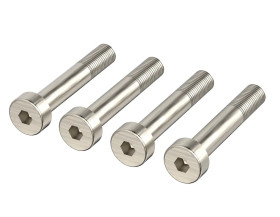 Bopla IS (21007940) - śruba imbusowa do obudów P 322, P 327