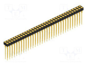 MK.213.X.2.66.G