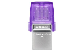 Pamięć 256 GB Bez szyfrowania USB 3.2 Kingston Nie 3D TLC Nie