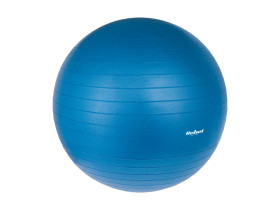 Piłka gimnastyczna rehabilitacyjna 55cm z pompką...