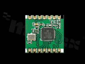 RFM65CW-915S1