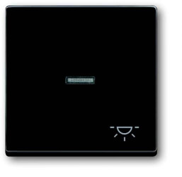 Klawisz z symbolem „światło” Zaślepka Busch-Jaeger Busch-axcent, Carat, Future Linear, Dynasty 2CKA001751A2931, antracyt