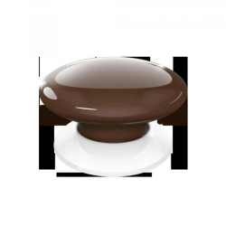 The Button - Przycisk, włącza i wyłącza dowolnego urządzenia lub sceny w systemie FIBARO