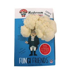 George Mushington - Lion&#39;s Mane Mushroom Grow Kit