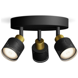 Philips 8720169300156 Niall Ceiling Floodlight GU10 Black/Gold