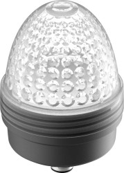 RAFI 1.69.010.005/0000 Podświetlenie wskaźnika bezbarwny 1 szt.