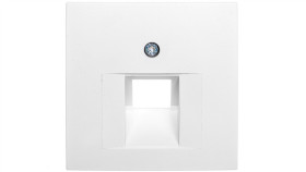 Berker S.1/B.1/B.3/B.7 Glas Płytka Czołowa Do Gniazda Teleinformatycznego...