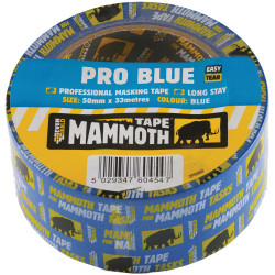 Everbuild 2PRO25 Pro Blue Masking Tape 25mm x 33m