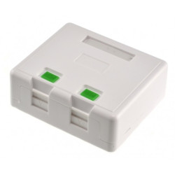 Puszka natynkowa biała na 2 moduły keystone Mediabox