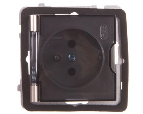 AS Gniazdo bryzgoszczelne z/u IP44 klapka przezroczysta satyna light GPH-1GZ/m/45/d