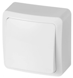 BERG Łącznik zwierny światło n/t 10AX IP20 biały 3713-00