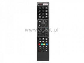 PANASONIC pilot ( NETFLIX RC48125 ) LCD; 2xAAA
