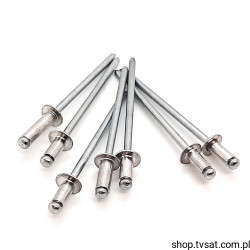 01010003206 3.2x6mm Rivet RIVET BUFAB