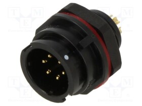 SY1312/P6-N