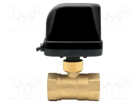 IBO-003756