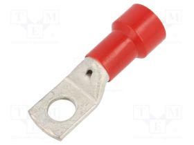 BM05261