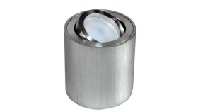 Oprawa Sufitowa Febe Srebrna Szczotkowana Ruchoma