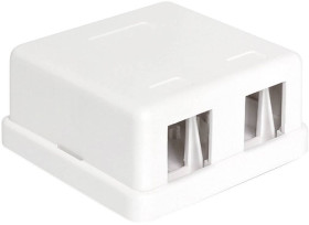 Delock 86207 2 Porty Patchpanel brak specyfikacji sieciowej 1 U biały Niezamontowany