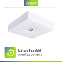Oprawa awaryjna natynkowa STARLET QUAD SOH 350 NM 2H AT / soczewka otwarta do pomieszczeń wysokich / 92875