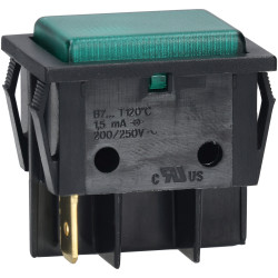 R-TECH 420017 Neon indicator light, green, 240V